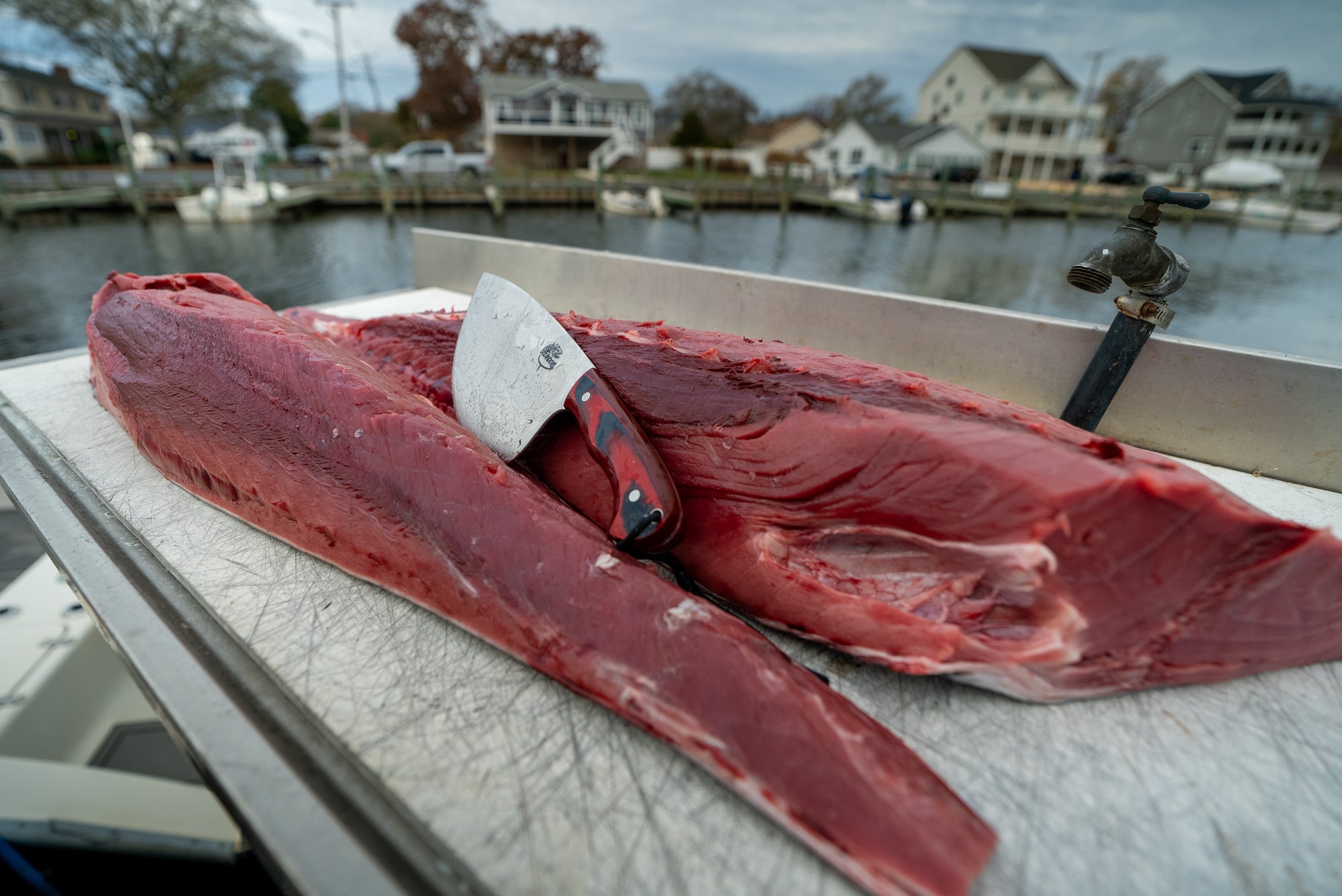 8” Tuna Cleaver Special GC Knife and Oceandevil Collaboration Addition