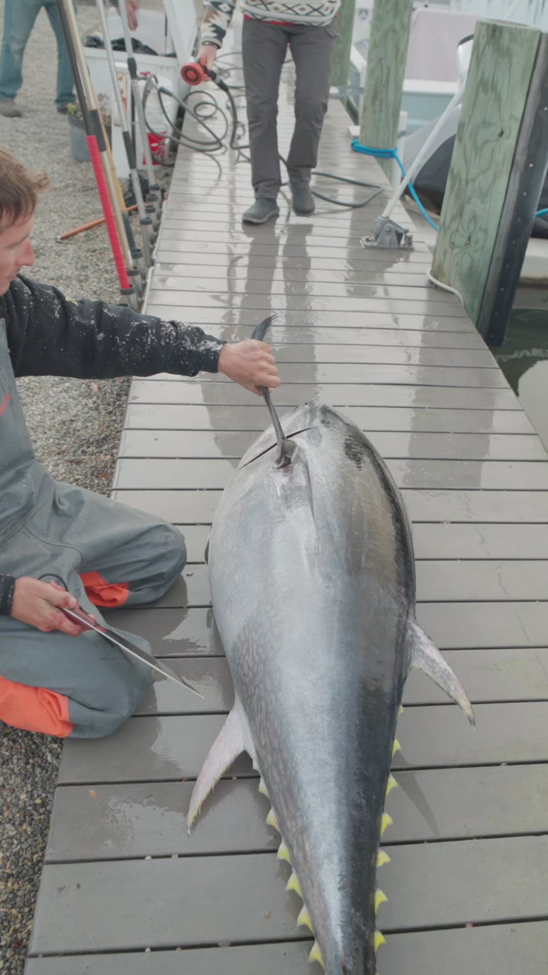 8” Tuna Cleaver Special GC Knife and Oceandevil Collaboration Addition