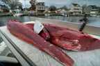 8” Tuna Cleaver Special GC Knife and Oceandevil Collaboration Addition